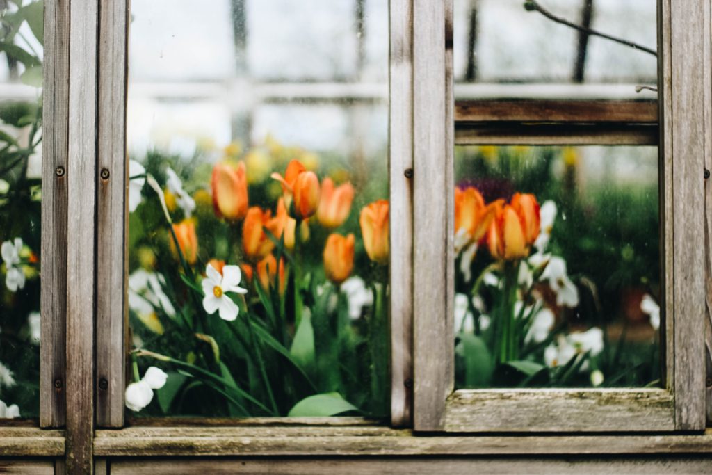 Window Box Gardening 