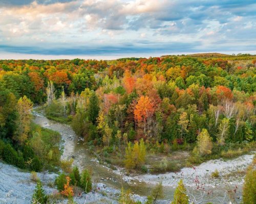 shutterstock_1886610478 (1) (1)